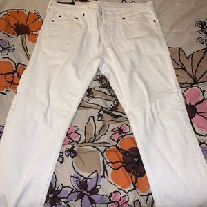 White Hollister Jeans (Never Worn) But no tags